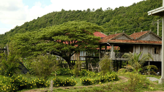 The Terroir of Kampot: Why Soil and Climate Matter in Kampot Pepper’s Flavor